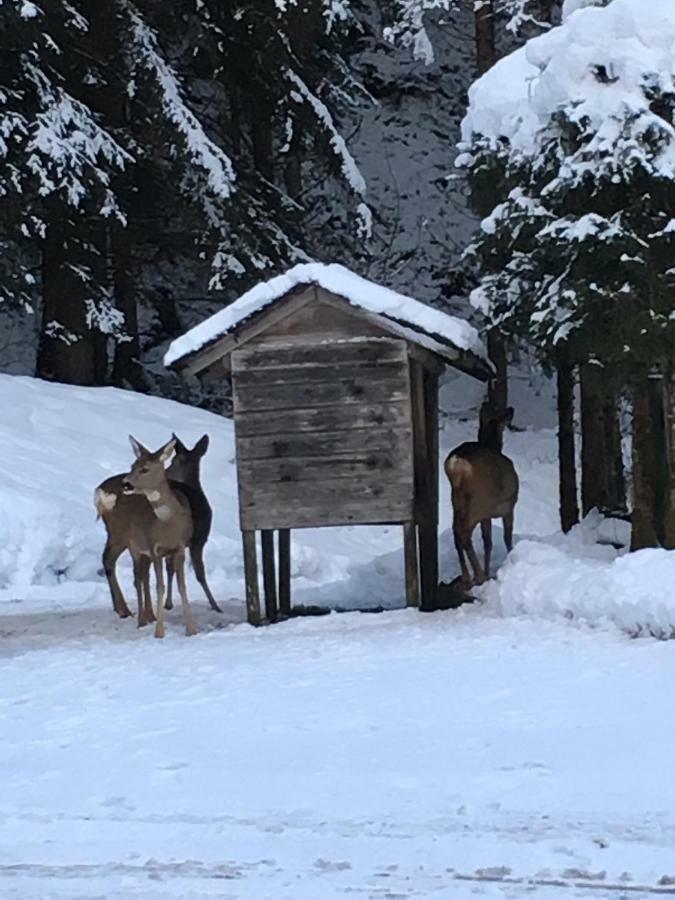 Ferienwohnung Bacher Oberkumbichl 900 Mayrhofen Dış mekan fotoğraf